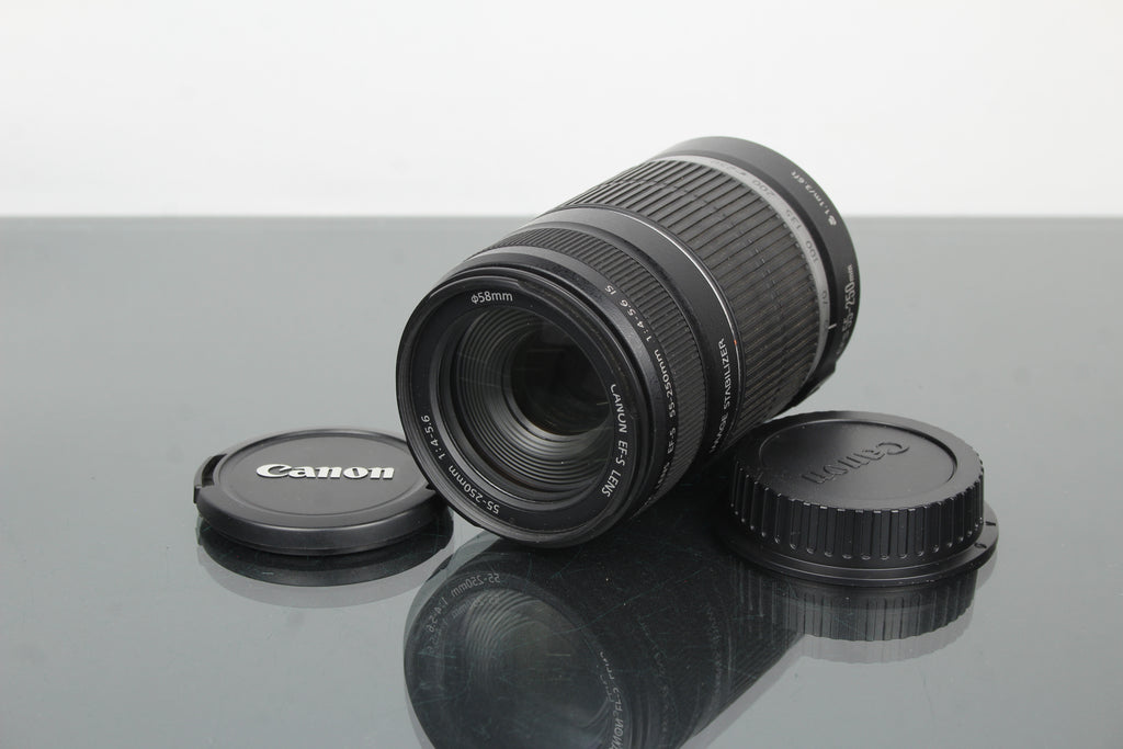 Obiettivo Canon EF-S 55-250mm 1:4-5.6