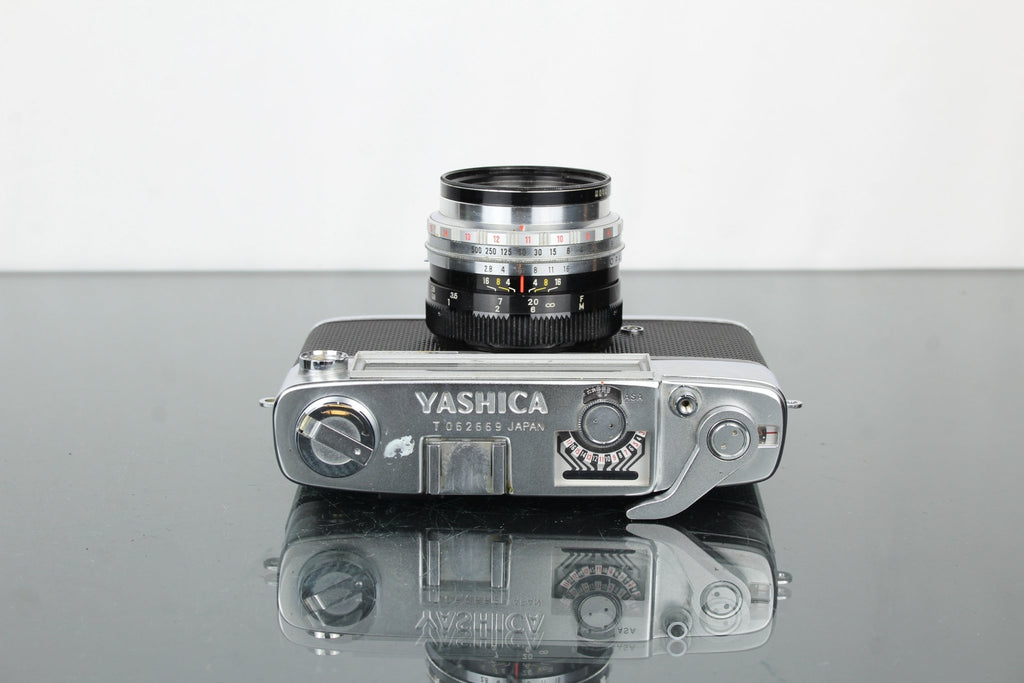 Yashica Minister - D - Dutch|Thrift